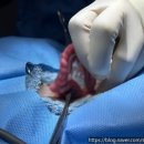 선부중앙동물의료센터 이미지