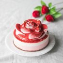 딜라이트 이미지