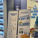 에그카페24 소답점 | [내돈내산] 대구 동성로 디저트 카페, 에그타르트 겉바속촉 끝판왕 '픽베이크 대구동성로점' 후기