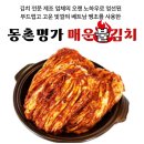 쿠팡 김치 추천 "동촌명가" 김치 2kg 내돈내산 솔직후기 (신라면보다 매움🔥)