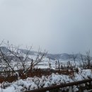 르본상사 이미지