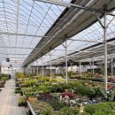 선유삼계탕 이미지