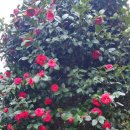 우룡산공원 이미지