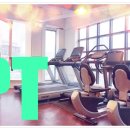 피티시즌 | 사직동에서 찾은 PT 맛집, 피티시즌 운동 후기