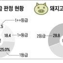 1++ 등급 한우? 얼마나 알고 드십니까 이미지