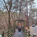 치악산국립공원(관리사무소) | 원주 당일치기, 5천 원 트레킹버스로 즐기는 핵심 코스 힐링 여행 하시게나!