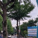 인북로 네이버블로그