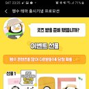 오앤프로모션 이미지