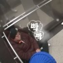 빵굴레