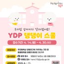 댕댕이네 이미지