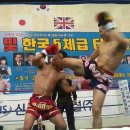 부천 원미구 상동 킥복싱/무에타이/MMA/크로스핏 부천 상동 TWT 상륙!! NEW OPEN 이벤트 이미지