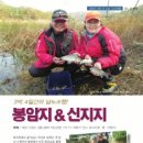 신지지 이미지