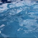(주)킨더스윔 | 서울 수영장 추천 킨더스윔 킨더스윔 아이와 함께 안전하게 다닐 수 있는 곳