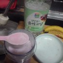얼음과자집 Daum카페