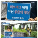 러브버그 박멸 아닌 공존의 대상 이미지