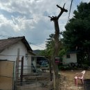 곰고개식당 | 포천 능이백숙 맛집 곰고개식당에서 몸보신하고 온 후기