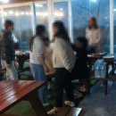 외도펠리스 이미지