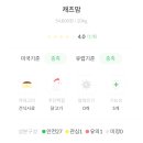샐러드캐츠