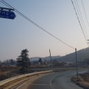 야루정