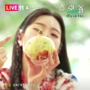 대박농수산유통 이미지
