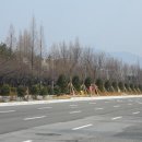 창원대로 이미지