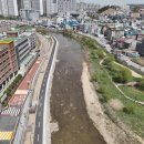 양지천2 이미지