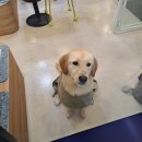 올리스 24(마산) 이미지