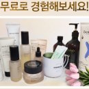 인셀덤스텔라 - 성남시 중원구 | 인셀덤스텔라