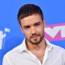 호텔 밴드 이미지