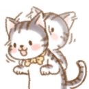 산지검은돈식육식당