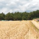 청자 태양광발전소 이미지