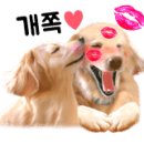 뚜레쥬르신연수점