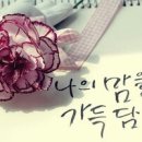 미님 - 광주시 | 미님