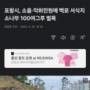 포항시, 소음·악취민원에 백로 서식지 소나무 100여그루 벌목 이미지