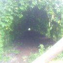 김정기농장 이미지