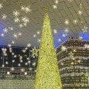 역대급으로 이뻤던 삼성역 코엑스 별마당도서관과 현대백화점 무역센터점 후기