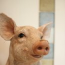 이가한약국 이미지