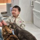 캣플헤븐 AK플라자금정점 이미지