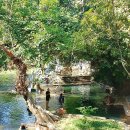 태국골프 그린월드 소식지 이미지