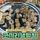 코끼리생막창 | 광주 도산동 맛집 코끼리생막창 솔직 후기
