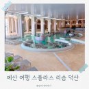 워터파크 | 예산 여행｜스플라스 리솜 덕산 가격 비교 &amp; 워터파크 후기