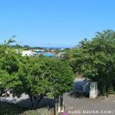 온평리경로당 이미지