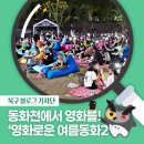 동화천 | [북구 기자단] 동화천에서 영화를! &#39;2025 영화로운 여름동화2&#39; - 박선주 기자