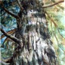 동부프라자 이미지