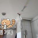 신세대하이빌