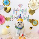 넌나의가족 이미지