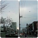 홍대명품족발