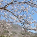 동구리 저수지 위 공원 이미지