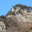 지정면 (능촌) 티스토리