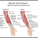 매곡한의원 이미지
